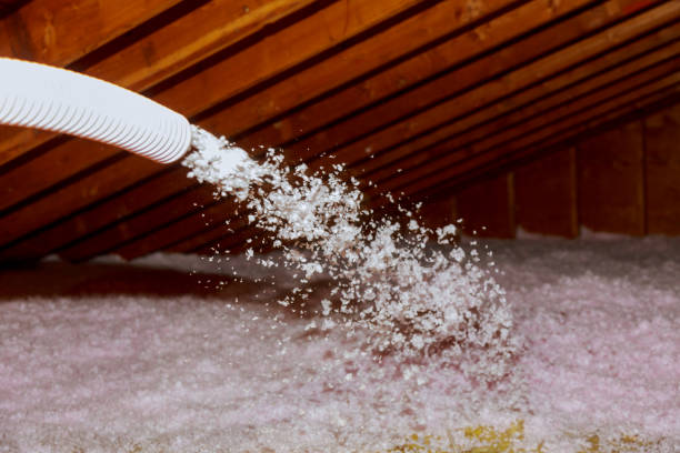 Best Residential Insulation in Blue Mound, TX