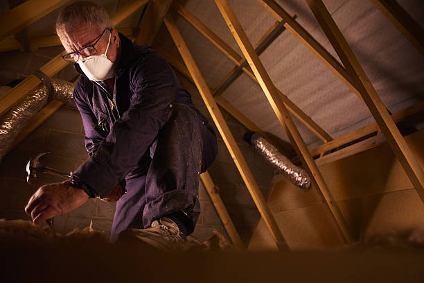 Best Residential Insulation in Blue Mound, TX