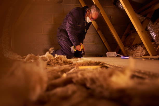 Best Insulation Maintenance and Repair in Blue Mound, TX